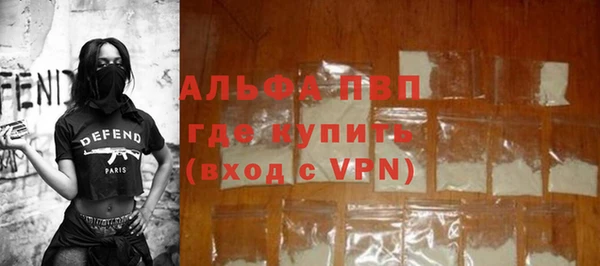 прущие грибы Бронницы