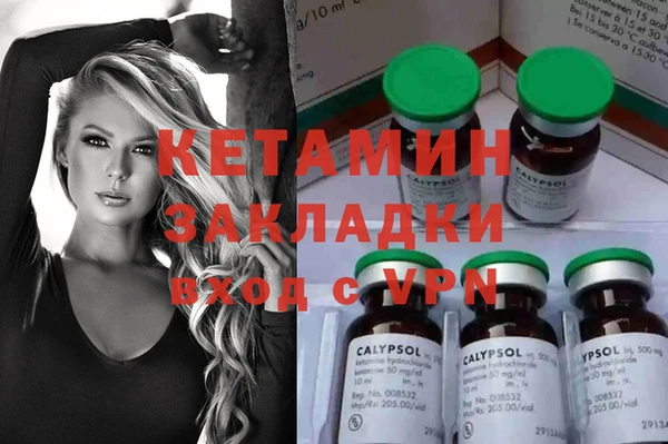 прущие грибы Бронницы