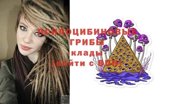 крисы Верея