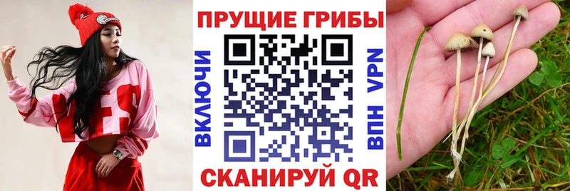 Псилоцибиновые грибы мухоморы  Тольятти 